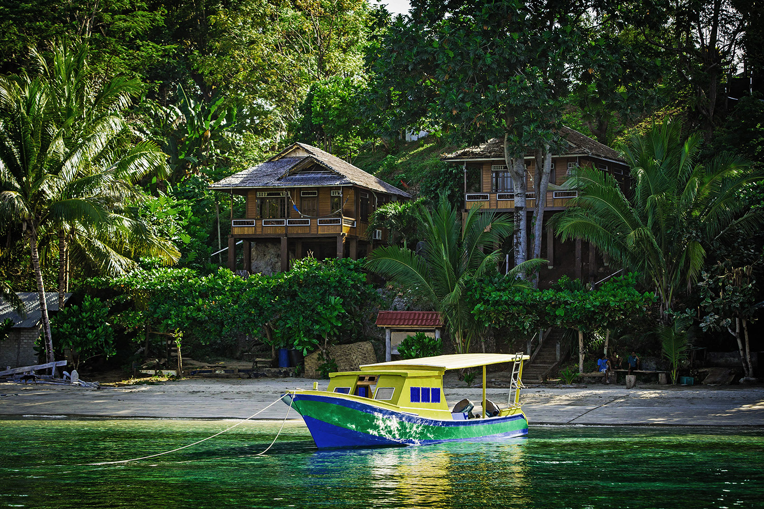 Itinerario Sulawesi 14 Giorni