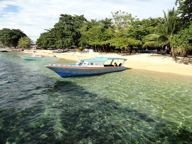 Bunaken e il nord: immersioni e vulcani