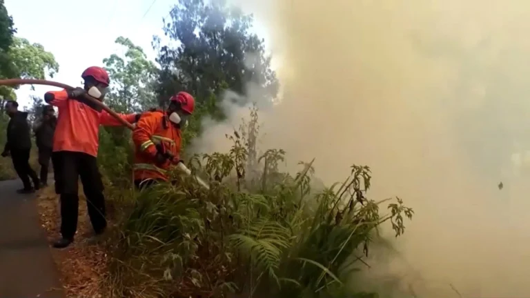 incendio monte bromo