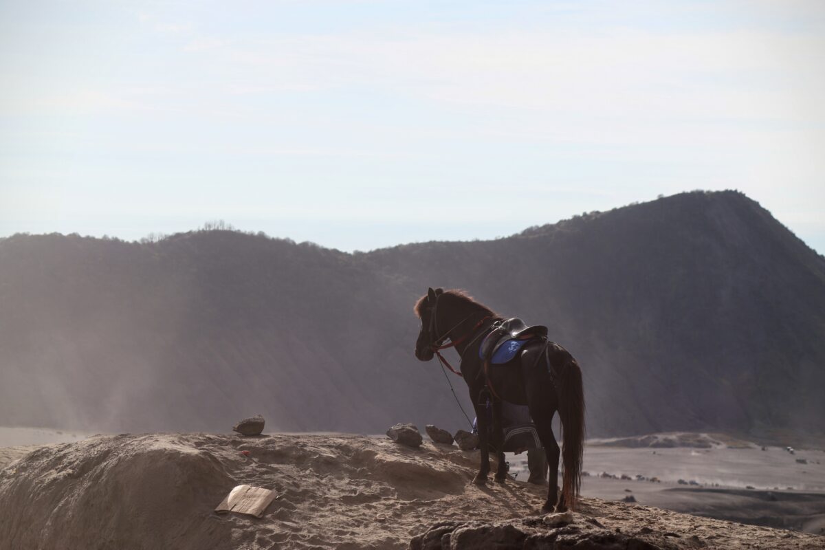 Bromo